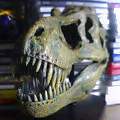 Head Bone of T-Rex